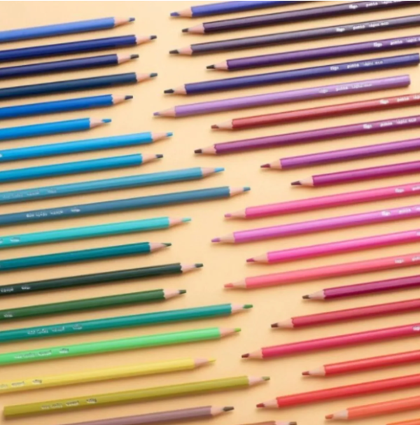 Lapiz Color Filgo X48u. Largos Pinto - Imagen 2