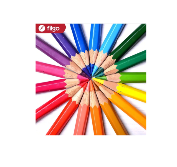 Lapiz Color Filgo X48u. Largos Pinto - Imagen 3