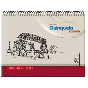 BLOCK LEDESMA QUINQUELA C/ESP. 22 X 29 X 50 HJS LI