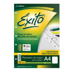 Repuesto Exito C/margen Reforzado A4 X 48h cuadric