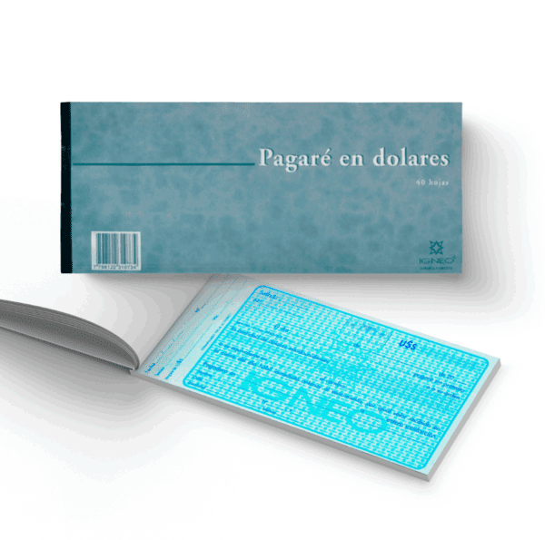 Pagaré en Dolares x40 hjs.