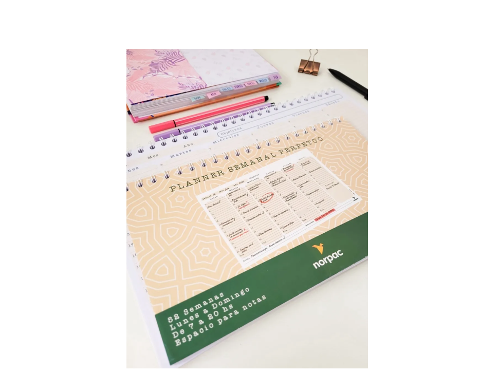 ORGANIZADOR SEMANAL 27X16 PERPETUO- NORPAC