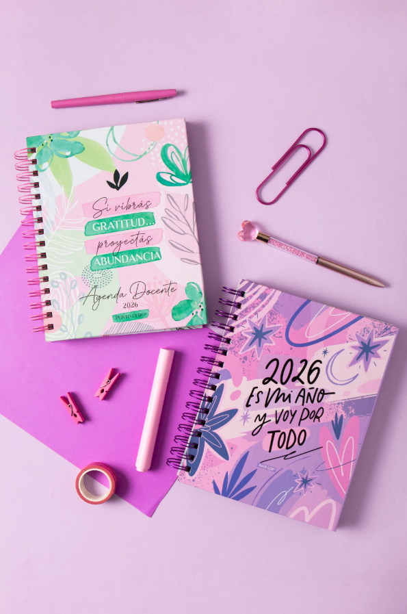 Agenda Docente - ES MI AÑO- PUNTO CERO - Imagen 5